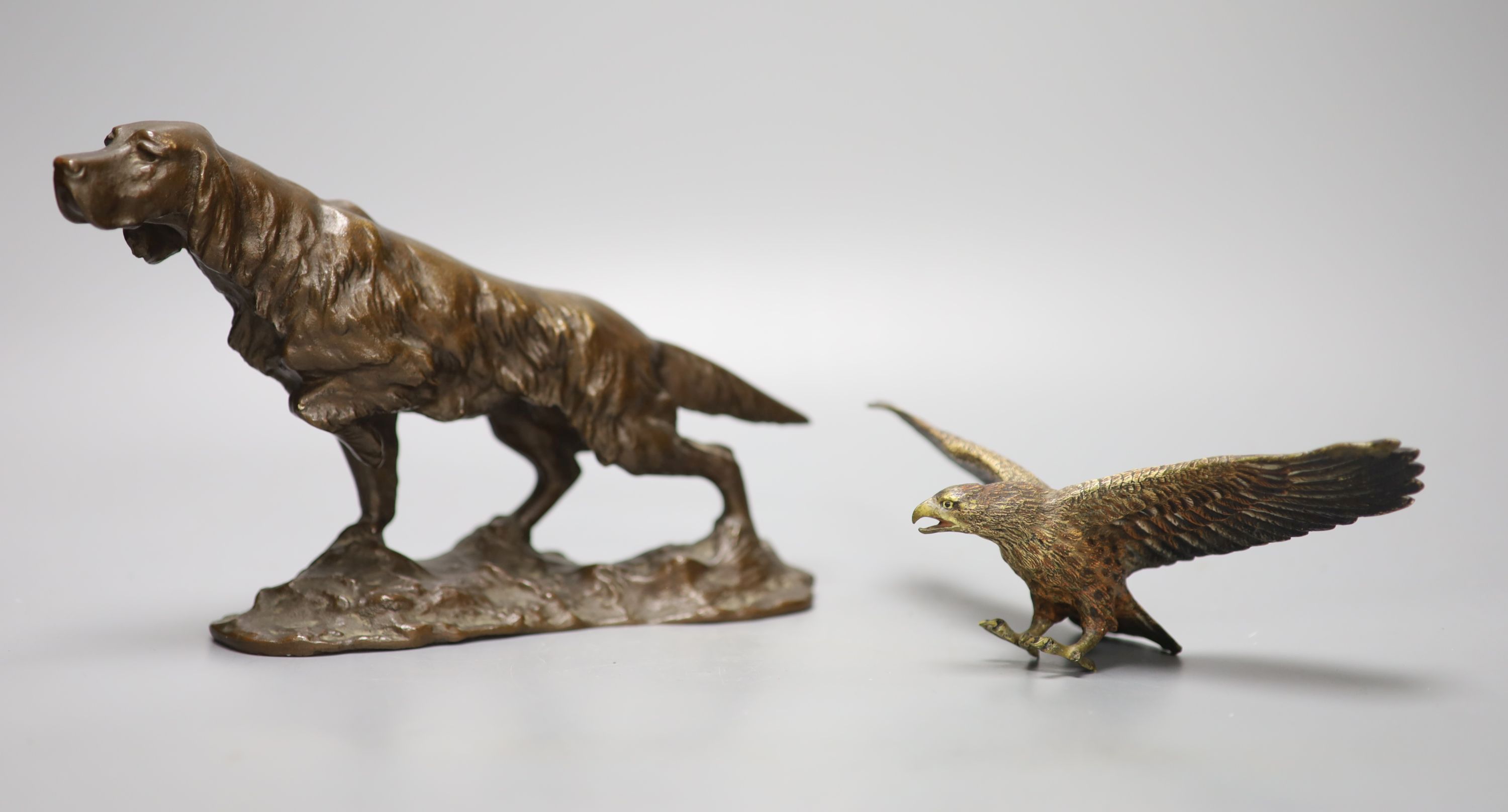 A bronze model of a setter, length 24cm, and a small cold-painted bronze figure of an eagle,